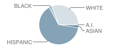 Chiawana Senior High School Student Race Distribution