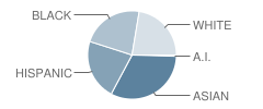 Helen B. Stafford Elementary School Student Race Distribution