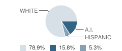 Clallam County Juvenile Detention School Student Race Distribution