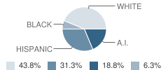 Whatcom County Detention Center School Student Race Distribution