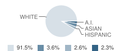 Capt Johnston Blakely Elementary School Student Race Distribution