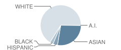 Bellevue High School Student Race Distribution