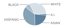 Lake Hills Elementary School Student Race Distribution