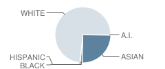 Medina Elementary School Student Race Distribution