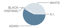 Somerset Elementary School Student Race Distribution