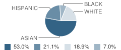 Stevenson Elementary School Student Race Distribution