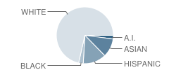 Squalicum High School Student Race Distribution