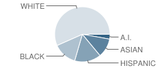 Naches Trail Elementary School Student Race Distribution