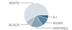 Naval Avenue Elementary School Student Race Distribution