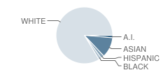 Skyridge Middle School Student Race Distribution