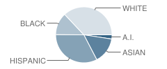 Cedar Valley Community School Student Race Distribution