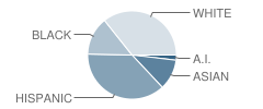 College Place Elementary School Student Race Distribution