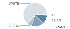 Mountlake Terrace Elementary School Student Race Distribution