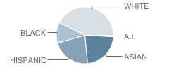 Spruce Primary School Student Race Distribution