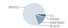 Elma Elementary School Student Race Distribution