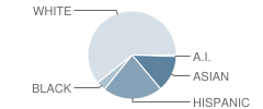 Woodside Elementary School Student Race Distribution