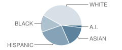 Adelaide Elementary School Student Race Distribution