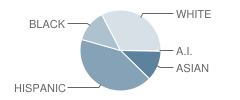 Lake Grove Elementary School Student Race Distribution