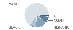 Lakeland Elementary School Student Race Distribution