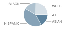 Mirror Lake Elementary School Student Race Distribution