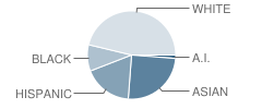 Thomas Jefferson High School Student Race Distribution