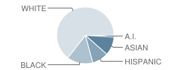 Twin Lakes Elementary School Student Race Distribution