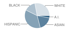 Harvard Elementary School Student Race Distribution