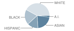 Washington High School Student Race Distribution