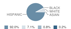 Mcclure Elementary School Student Race Distribution