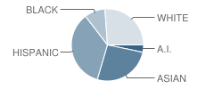 Cedarhurst Elementary School Student Race Distribution