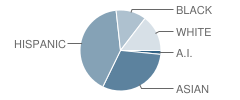 Southern Heights Elementary School Student Race Distribution