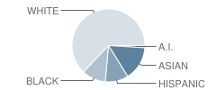 Kent Mountain View Academy Student Race Distribution