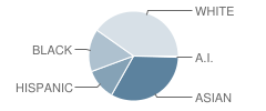 Emerald Park Elementary School Student Race Distribution