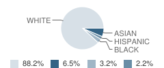 Northstar Junior High School Student Race Distribution