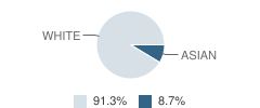 Environmental & Adventure School Student Race Distribution