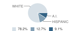 Lyle Middle School Student Race Distribution