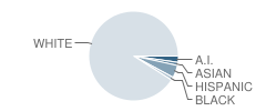 Mary M Knight High School Student Race Distribution