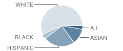 Cascade Elementary School Student Race Distribution