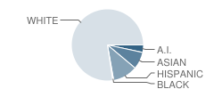 Poulsbo Elementary School Student Race Distribution