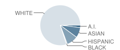 Vinland Elementary School Student Race Distribution