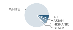 Hawkins Middle School Student Race Distribution