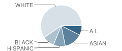 Evergreen Forest Elementary School Student Race Distribution