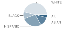 Lydia Hawk Elementary School Student Race Distribution