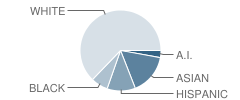 North Thurston High School Student Race Distribution