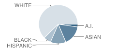 Olympic View Elementary School Student Race Distribution