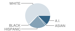 Okanogan High School Student Race Distribution