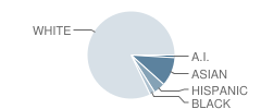 Olympia High School Student Race Distribution