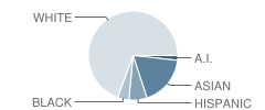 Julia Butler Hansen Elementary School Student Race Distribution