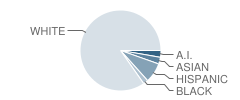 Ptarmigan Ridge Intermediate School Student Race Distribution