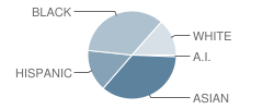 Bryn Mawr Elementary School Student Race Distribution